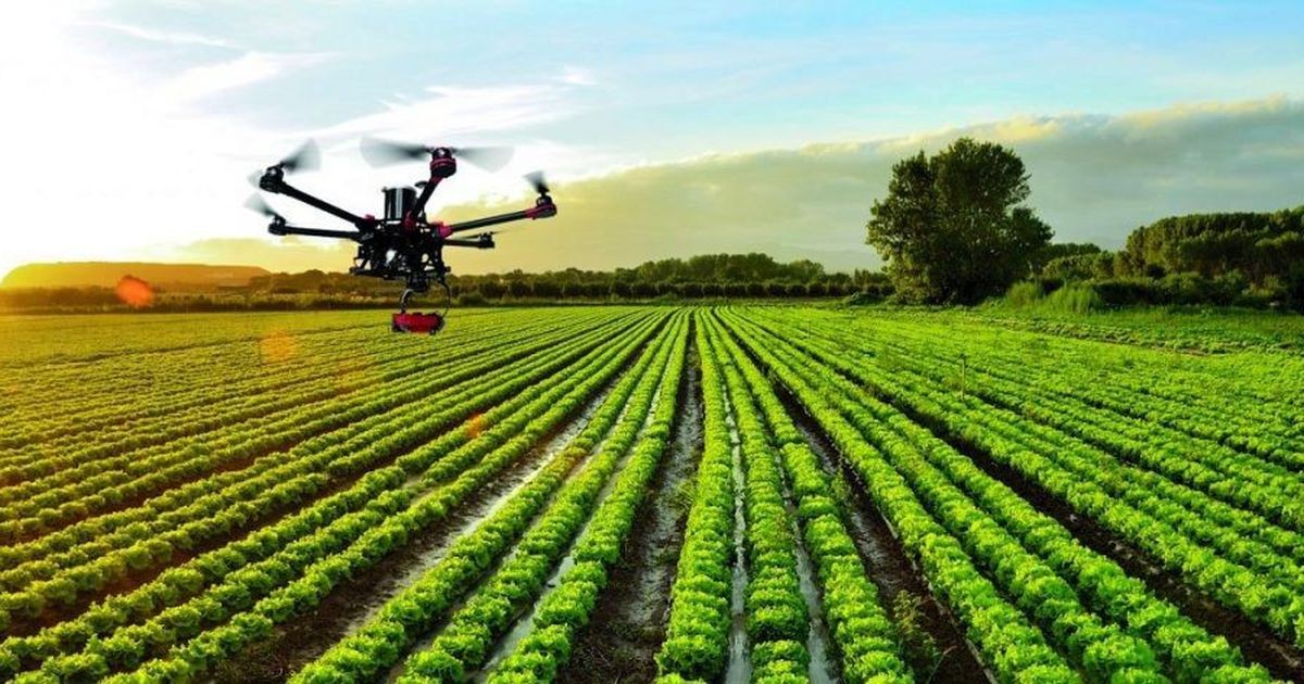 nong-nghiep-chinh-xac-1-1746957977.jpg