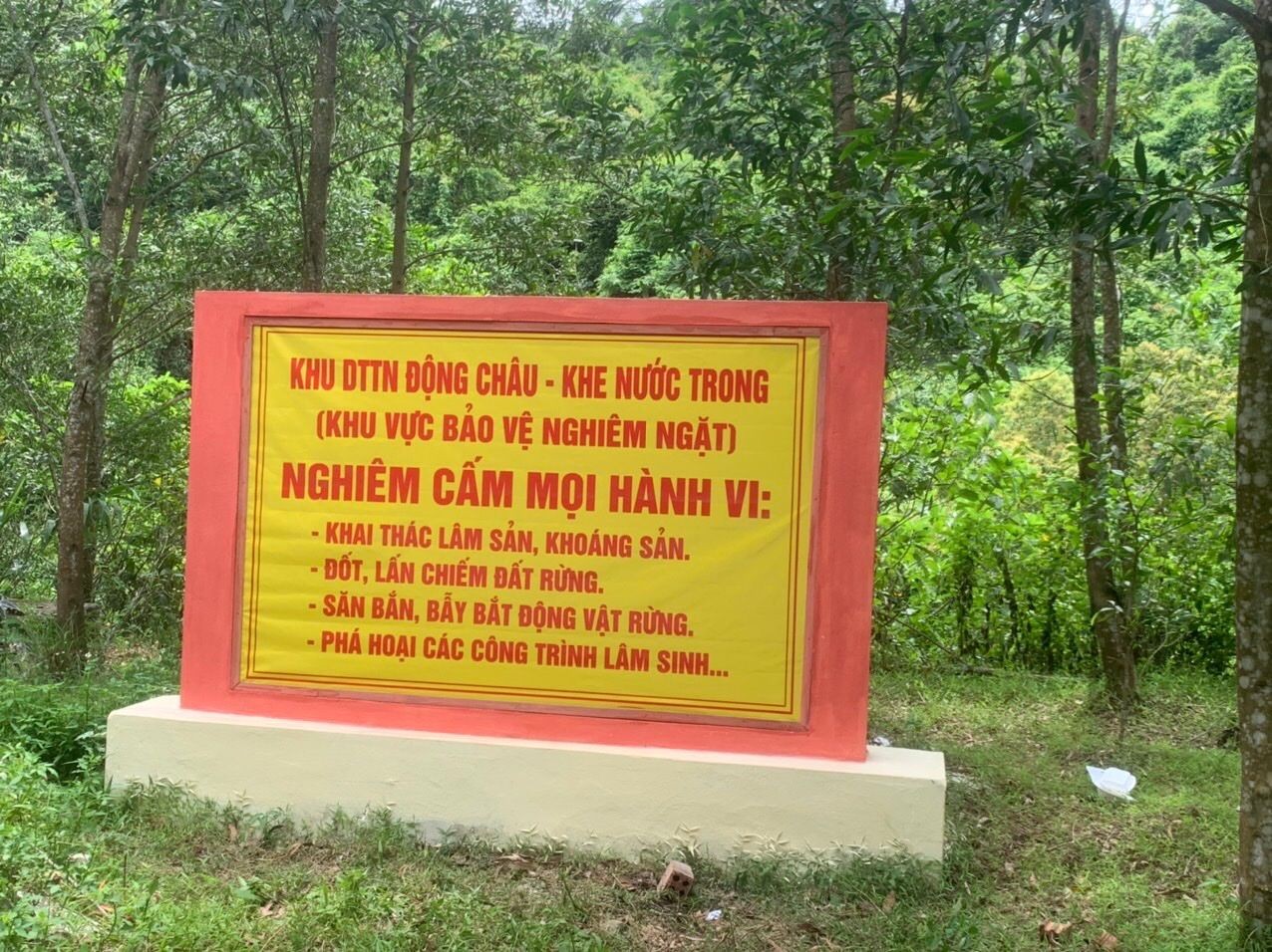 dong-chau-khe-nuoc-trong-1-1747141042.jpeg