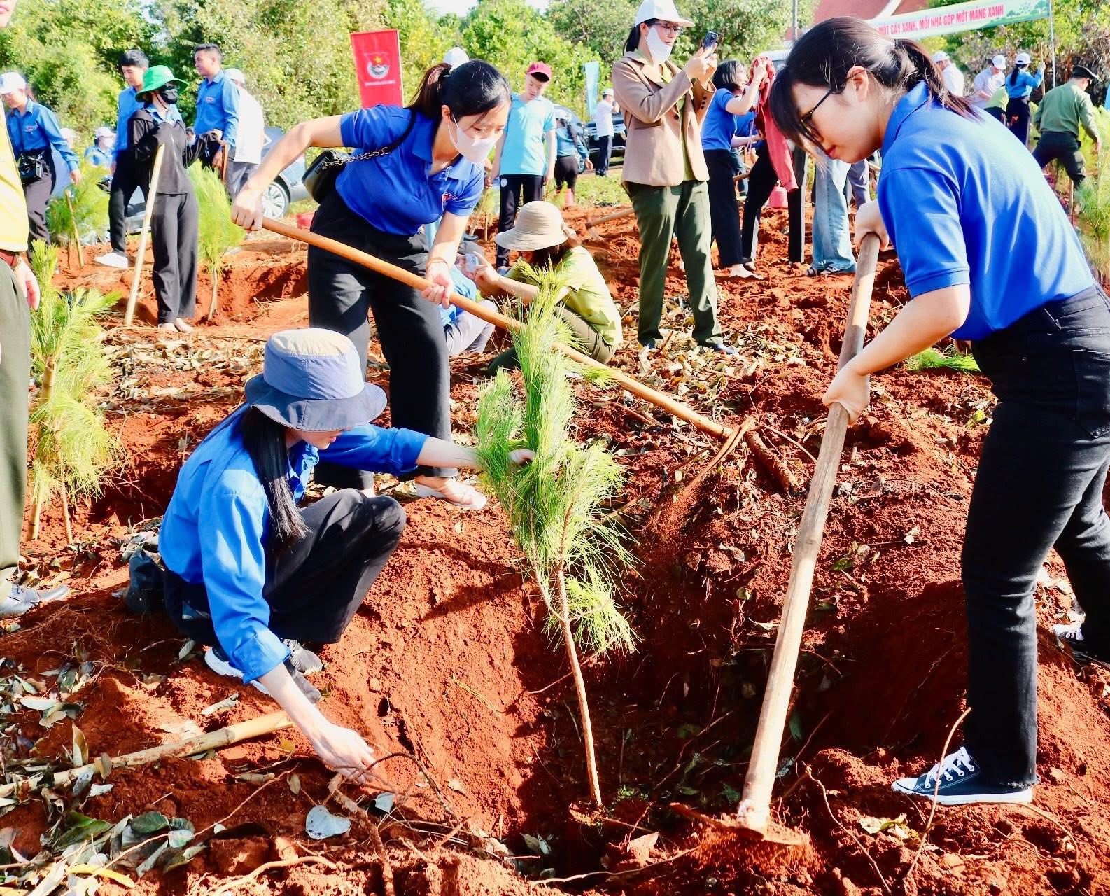 dong-dao-doan-vien-thanh-nien-tinh-dak-nong-tham-du-le-phat-dong-va-trong-cay-xanh-huong-ung-sau-buoi-le-1747650098.jpg