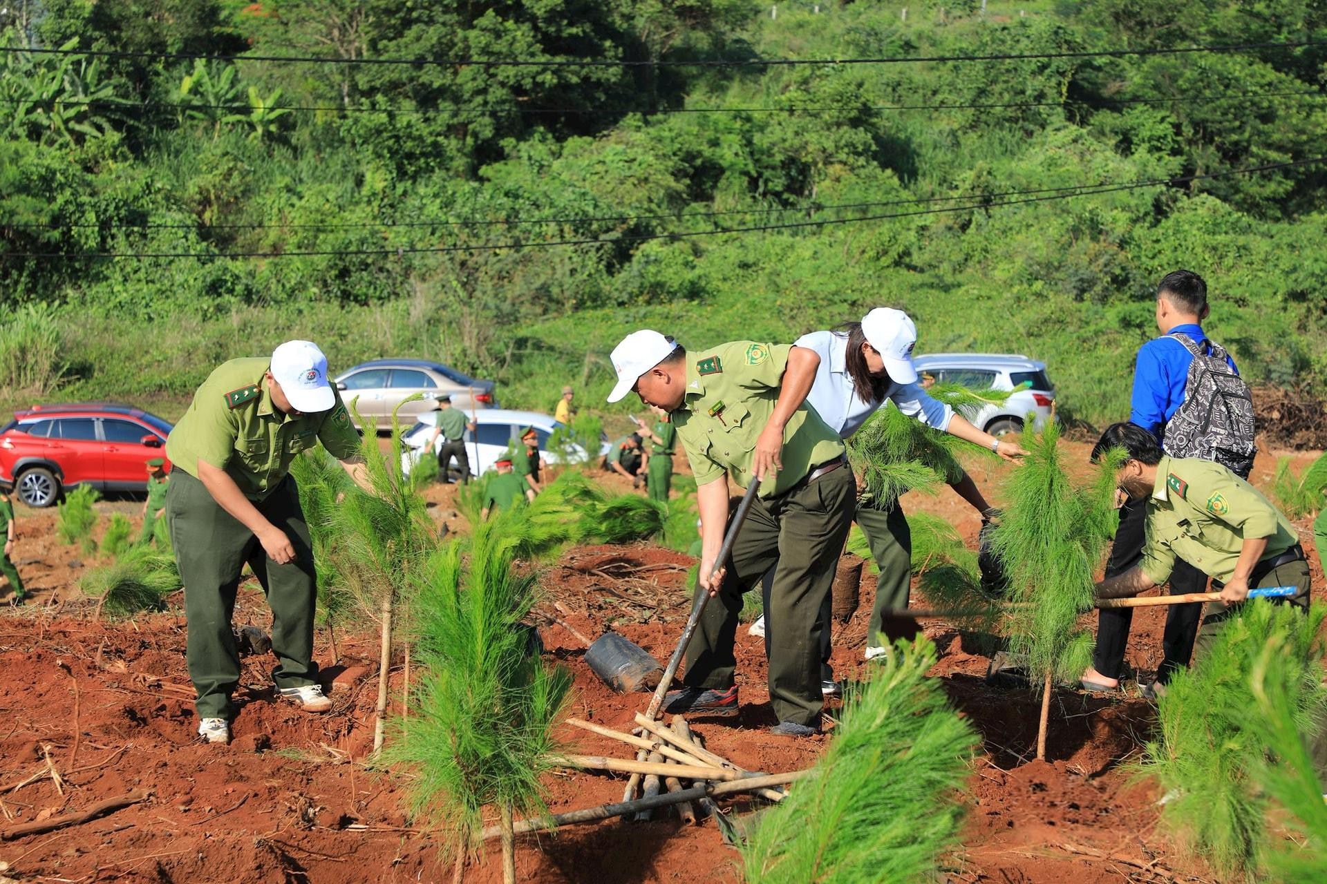 luc-luong-kiem-lam-dak-nong-tich-cuc-tham-gia-trong-cay-1747650256.jpeg