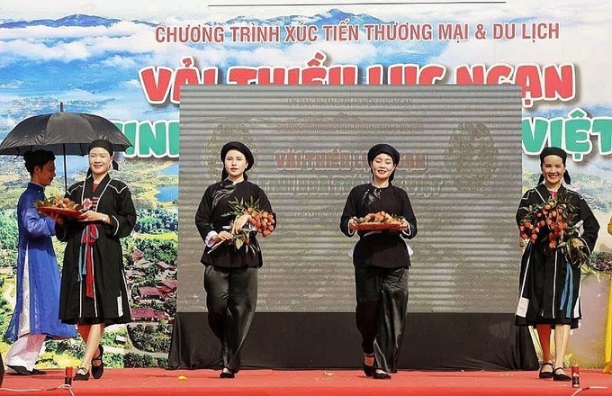 Tiết mục trình diễn trang phục từ vải thiều – kết hợp quảng bá nông sản với giá trị văn hóa bản địa, thu hút du lịch và truyền thông.