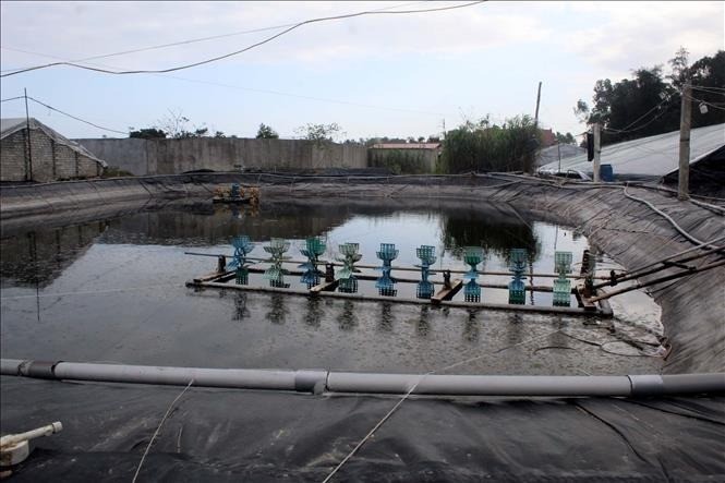 Một bể nuôi tôm trái phép tại Phố Đông Hải, phường hải Hòa, thị xã Nghi Sơn