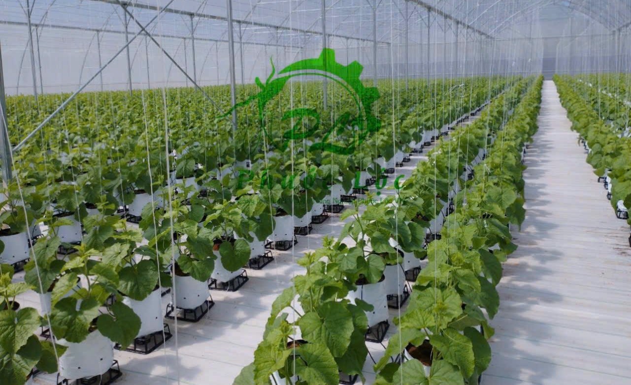 Nông nghiệp tuần hoàn đang trở thành hướng đi chiến lược trong phát triển nông nghiệp bền vững tại Thanh Hóa