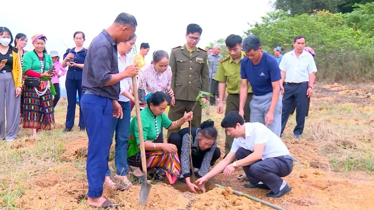  Chương trình phủ xanh vùng đất bán ngập nhận được sự hưởng ứng tham gia của bà con nhân dân sống trong vùng