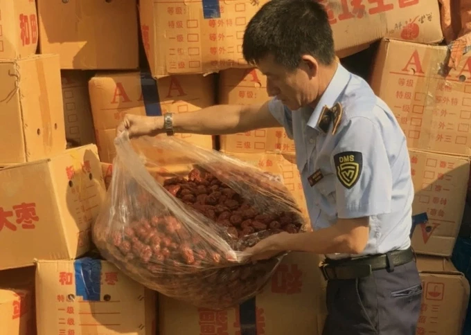 Lực lượng Quản lý thị trường Hà Nội kiểm tra và thu giữ hơn 4 tấn táo đỏ khô nhập lậu, không rõ nguồn gốc xuất xứ, tại quận Hà Đông, ngày 9/6/2025.