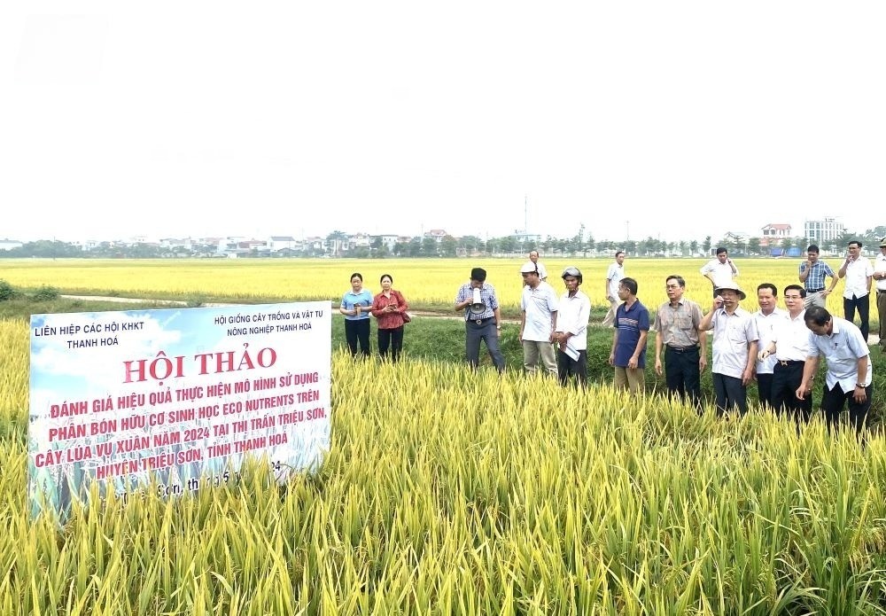 Lãnh đạo địa phương và các nhà nghiên cứu khoa học đang thăm mô hình sử dụng phân bón hữu cơ