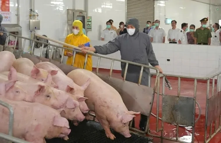 Thông qua kiểm tra, lực lượng chức năng đánh giá mức độ tuân thủ pháp luật tại các cơ sở giết mổ.