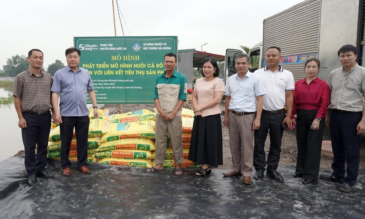 Ông Lê Quốc Thanh – Giám đốc Trung tâm Khuyến nông Quốc gia trao cá giống rô 78 cho đại diện Hợp tác xã Liên Trung, xã Tam Kỳ, huyện Kim Thành (Hải Dương).