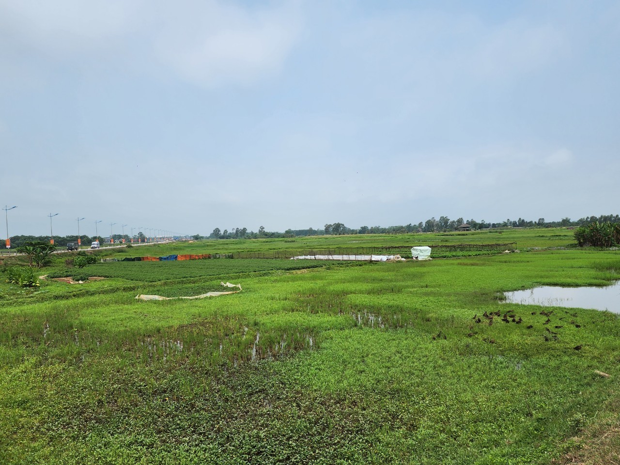 Thanh Hóa: Nhiều biện pháp bảo vệ môi trường đất