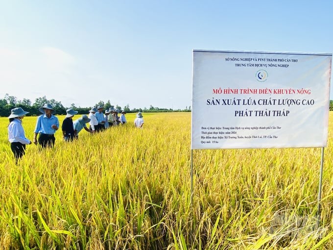 Hướng đi bền vững từ đồng ruộng – canh tác lúa giảm phát thải góp phần xây dựng nền nông nghiệp xanh - Ảnh minh họa