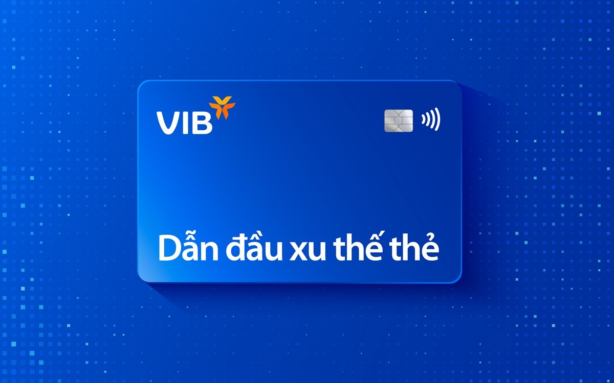 vib2-1751252762.jpg