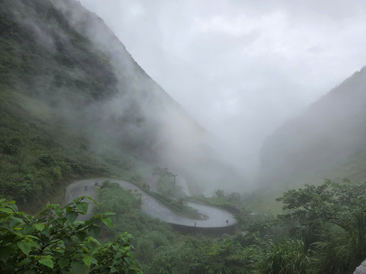 Thanh Hóa: Hiệu quả lớn từ Chương trình ERPA với các chủ rừng 