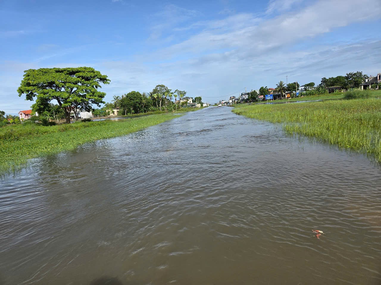 Ninh Bình vận hành hết công suất các trạm bơm để cứu 74.000ha lúa bị ngập úng