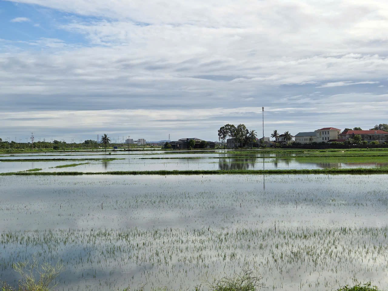 Ninh Bình vận hành hết công suất các trạm bơm để cứu 74.000ha lúa bị ngập úng