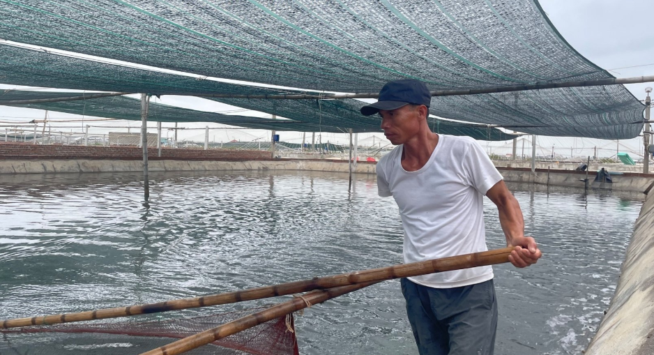 Ao nuôi tôm công nghệ cao