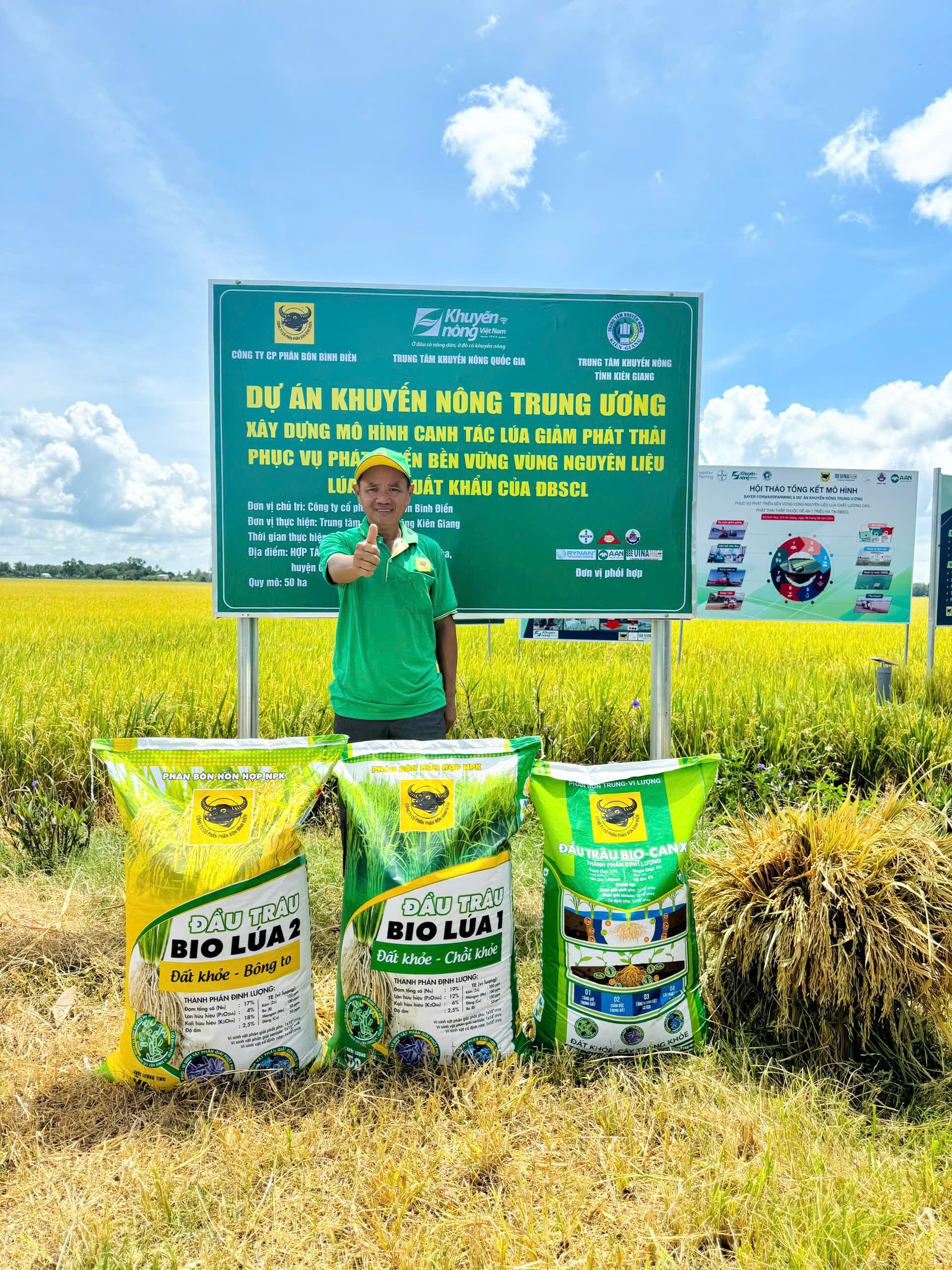 Bộ sản phẩm Đầu Trâu Bio-Canxi, Đầu Trâu Bio Lúa 1, Đầu Trâu Bio Lúa 2 được sử dụng trong mô hình canh tác lúa giảm phát thải phục vụ phát triển bền vững vùng nguyên liệu lúa gạo xuất khẩu của ĐBSCL thuộc Dự án Khuyến nông Trung ương do Công ty CP Phân bón Bình Điền chủ trì cho kết quả kinh tế vượt trội.