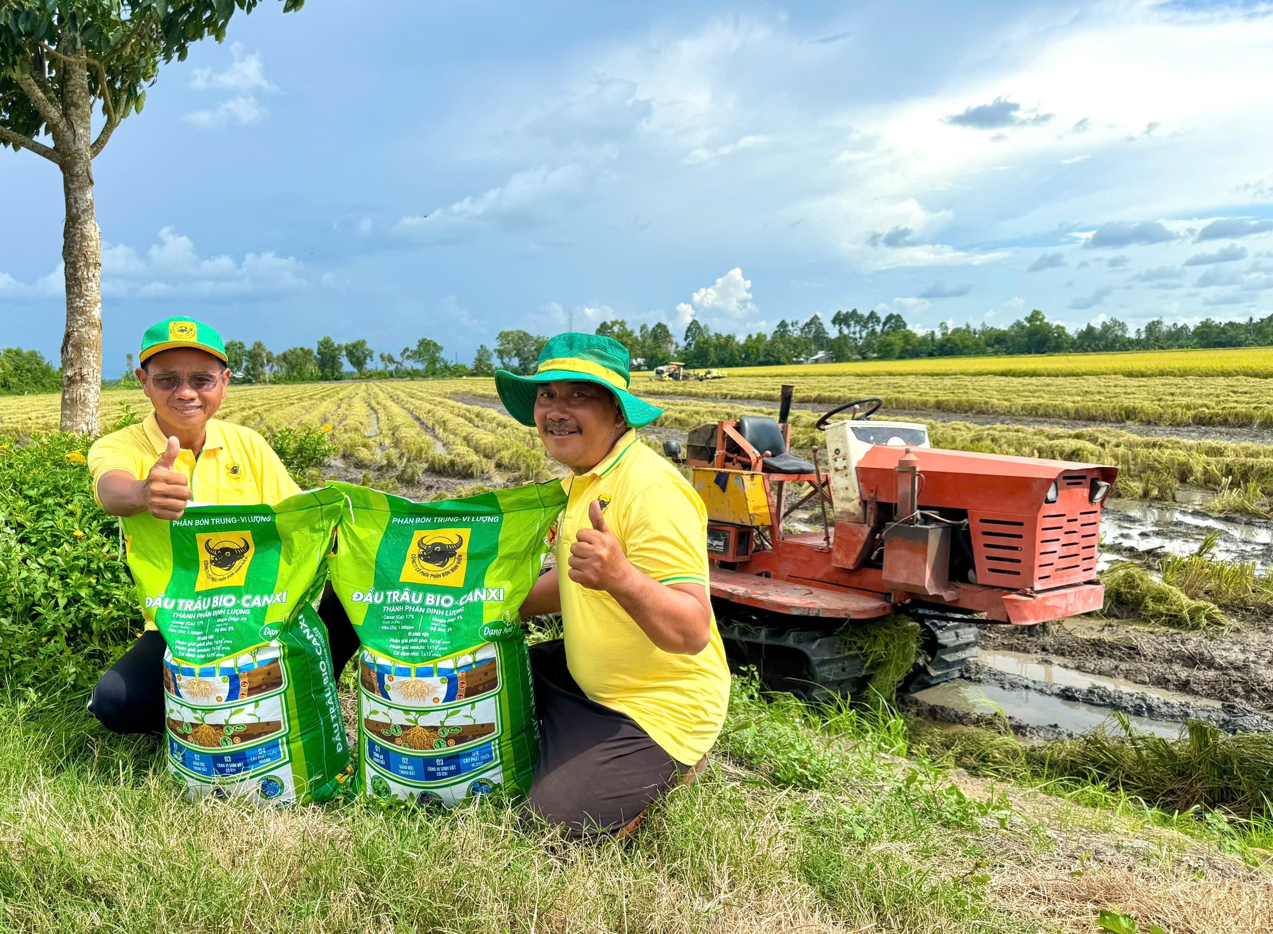 Đầu Trâu Bio-Canxi được khuyến cáo sử dụng 150kg/ha ngay sau khi thu hoạch kết hợp cày xới, hoặc dùng để bón lót trước khi gieo sạ.