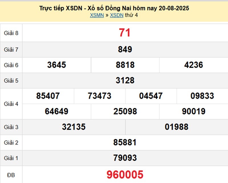 xsdn-20-8-1-1755683203.jpg