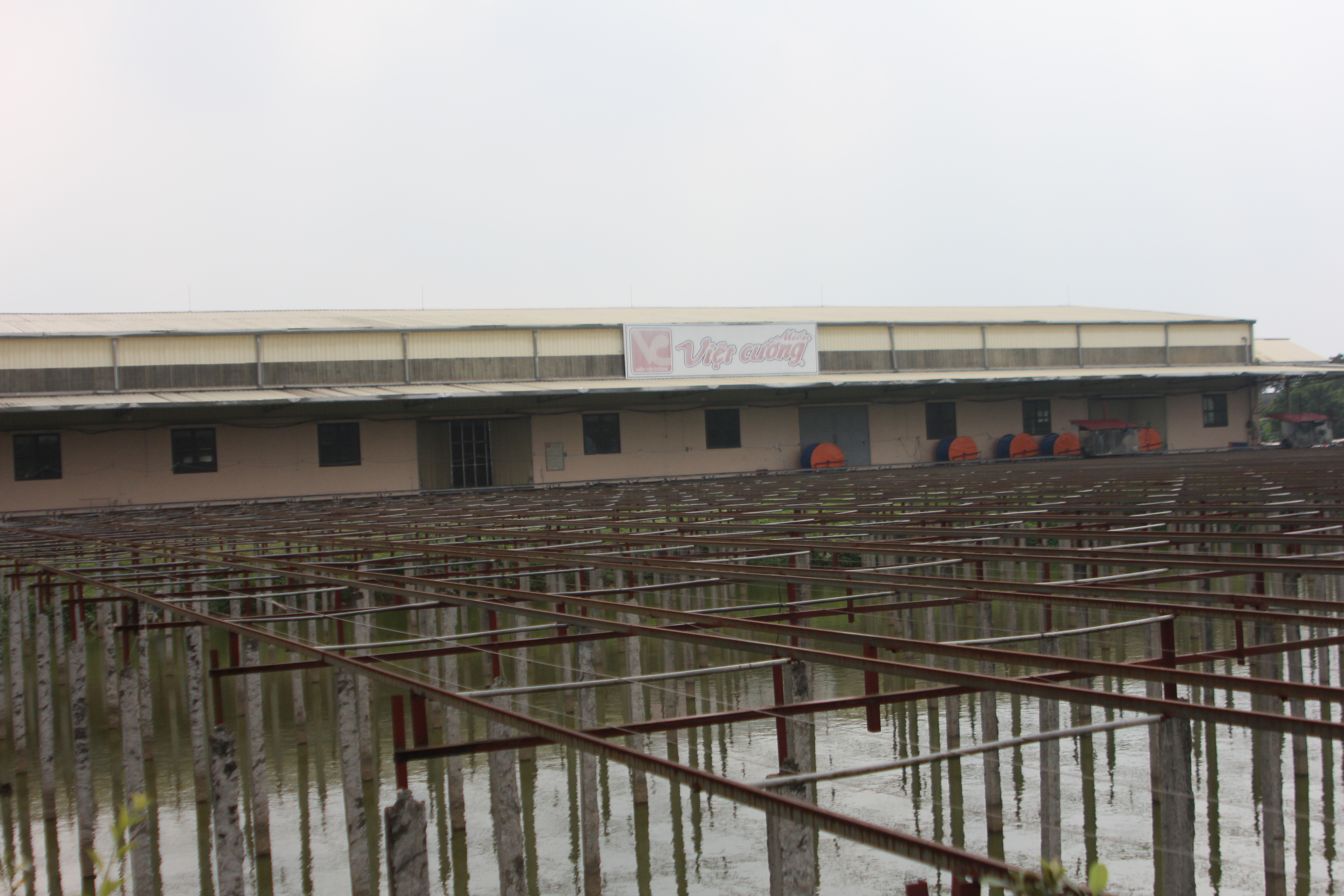 Chinh phục OCOP 5 sao Miến dong Việt Cường.JPG