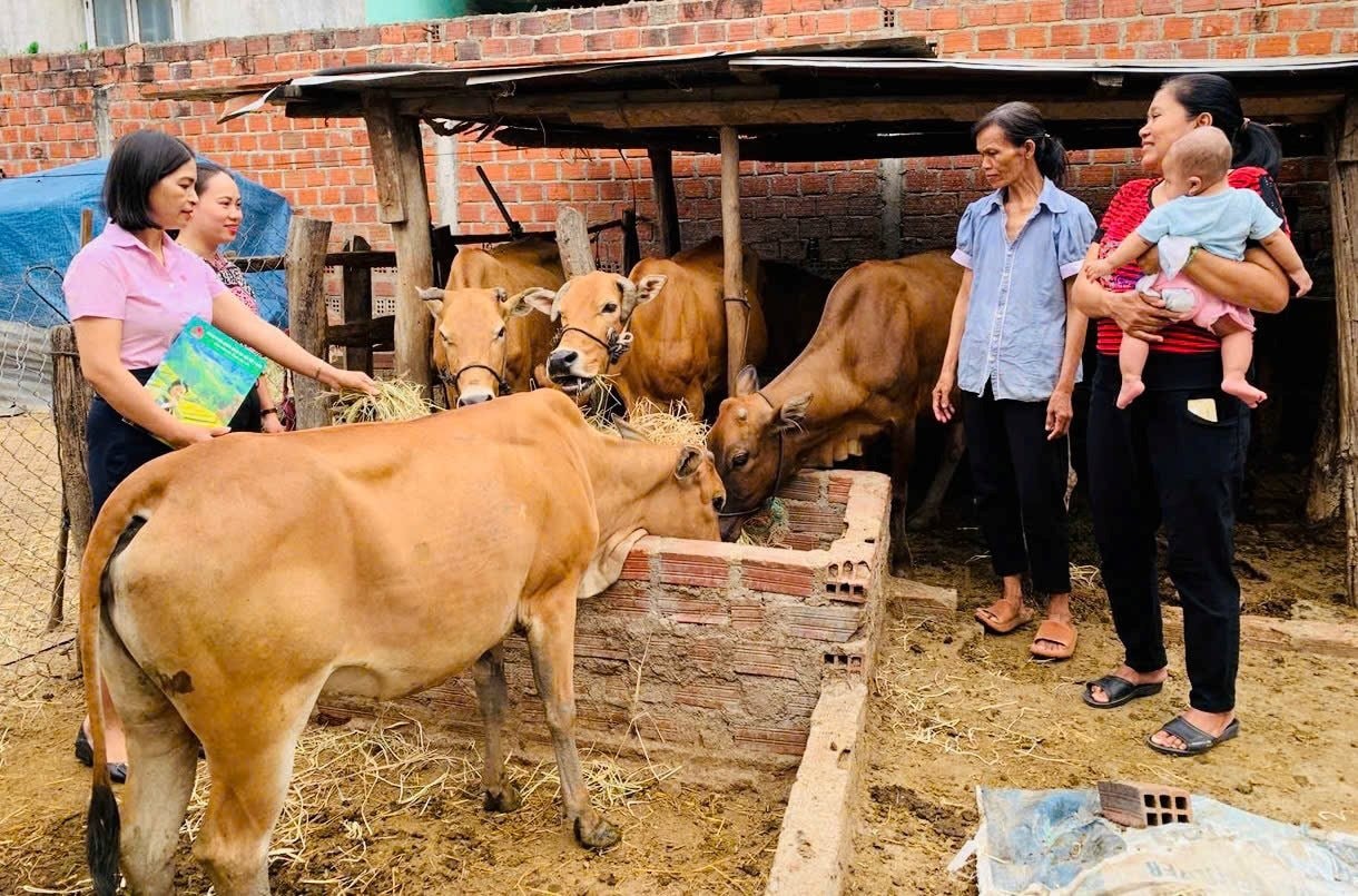 von-tin-dung-chinh-sach-duoc-nguoi-dan-ayun-pa-dau-tu-phat-trien-chan-nuoi-1756007430.jpg