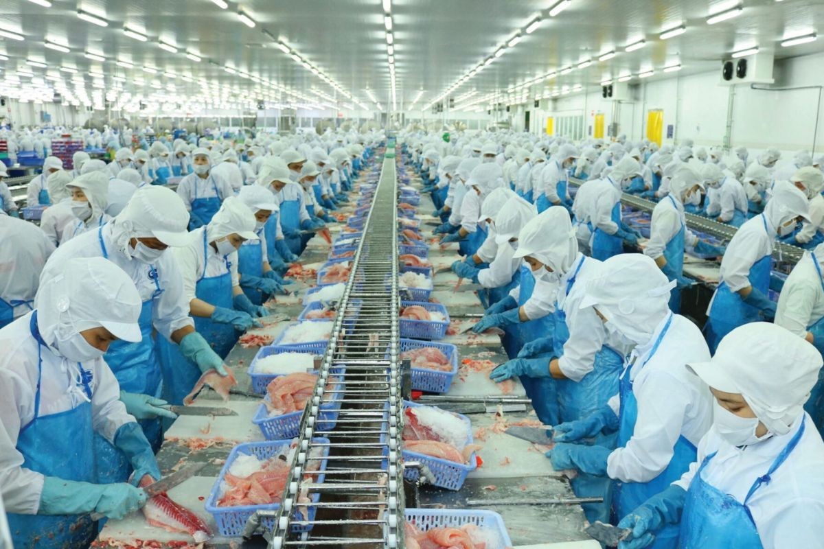 Xuất khẩu cá tra tăng tốc, thị trường nội địa vẫn “đứng ngoài cuộc chơi”