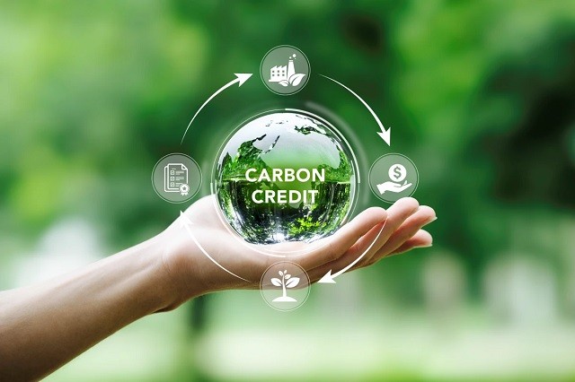Tín chỉ carbon