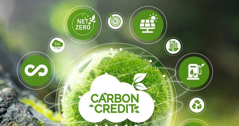 Thị trường Carbon