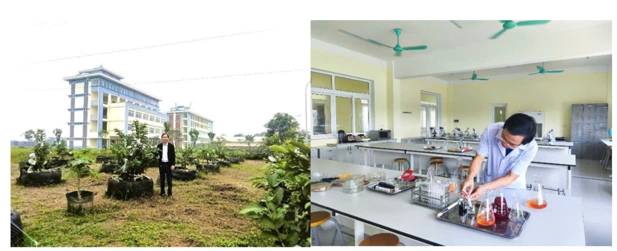 Sợi tơ "vàng" trên miền đất đỏ Bazan