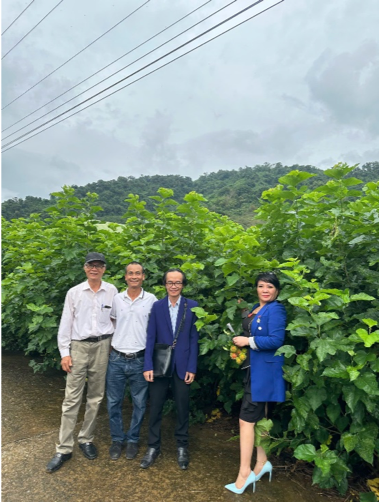 Sợi tơ "vàng" trên miền đất đỏ Bazan