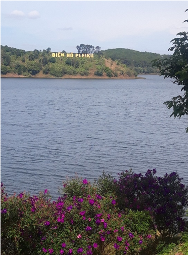 Sợi tơ "vàng" trên miền đất đỏ Bazan