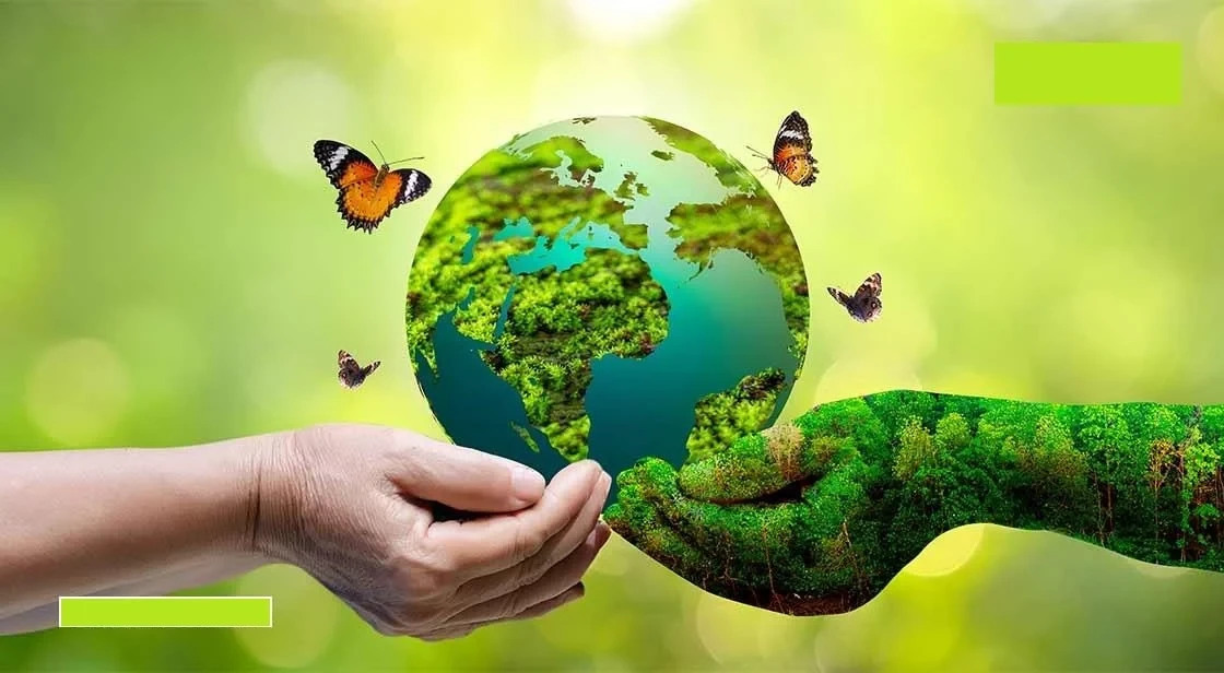 trach-nhiem-cua-doanh-nghiep-doi-voi-moi-truong-1756436023.webp