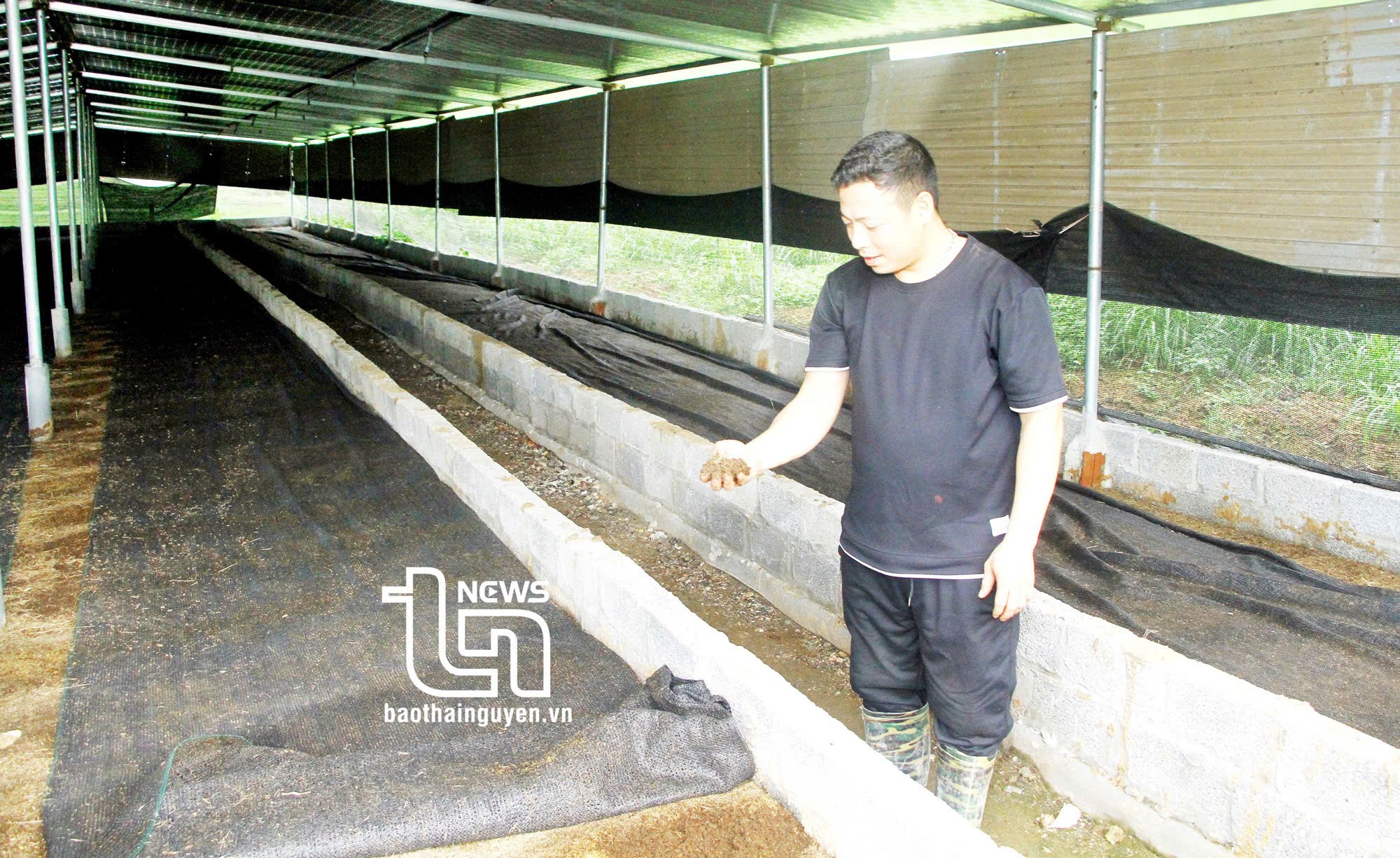 Chăn nuôi tuần hoàn: Bước tiến thiết yếu hướng tới phát triển bền vững