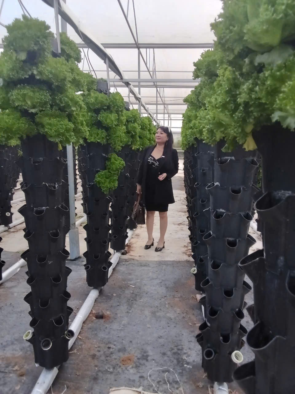 Krông Nô: Đột phá mô hình “Nông nghiệp bền vững” và “Kinh tế xanh” vùng Tây Nguyên