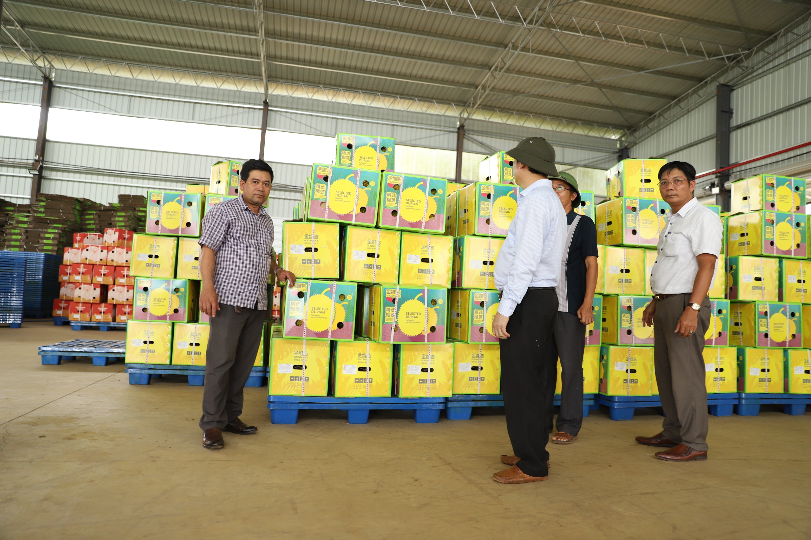 Cơ sở đóng gói sầu riêng chuẩn bị xuất khẩu Đắk Lắk.JPG