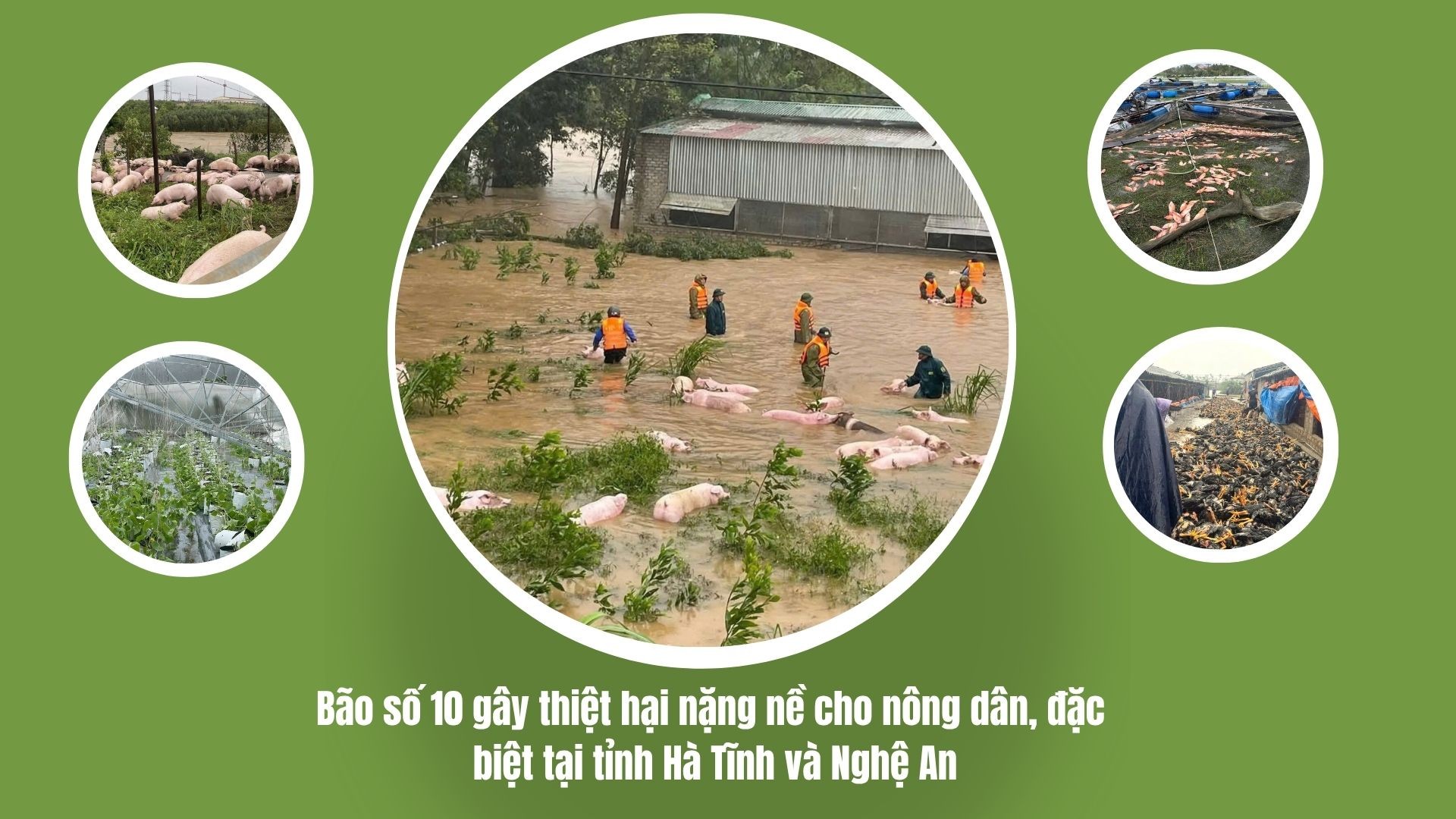 bao-so-10-gay-thiet-hai-nang-ne-cho-nong-dan-dac-biet-tai-tinh-ha-tinh-va-nghe-an-1-1759749337.jpg