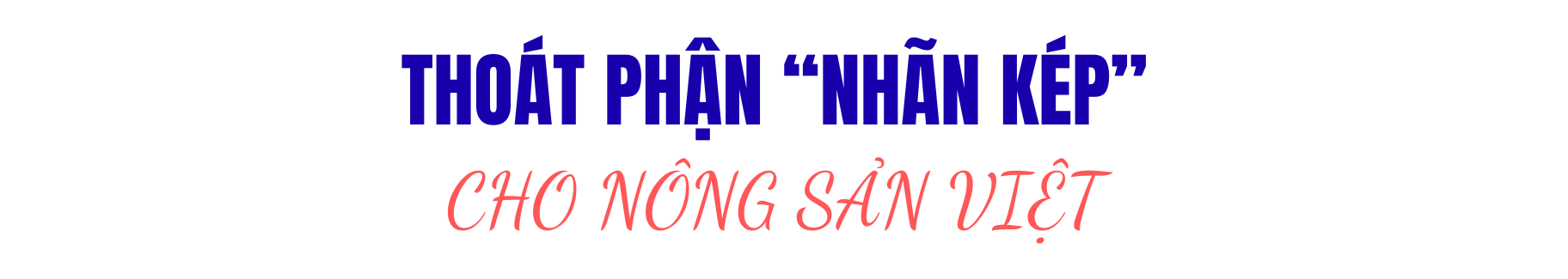 nong-san-viet-vo-danh-1760088919.png
