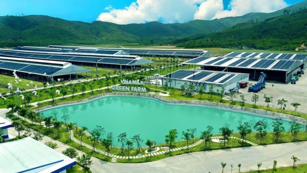 Doanh nhân Việt Nam  Kinh tế xanh  Phát triển bền vững  Chuyển đổi xanh