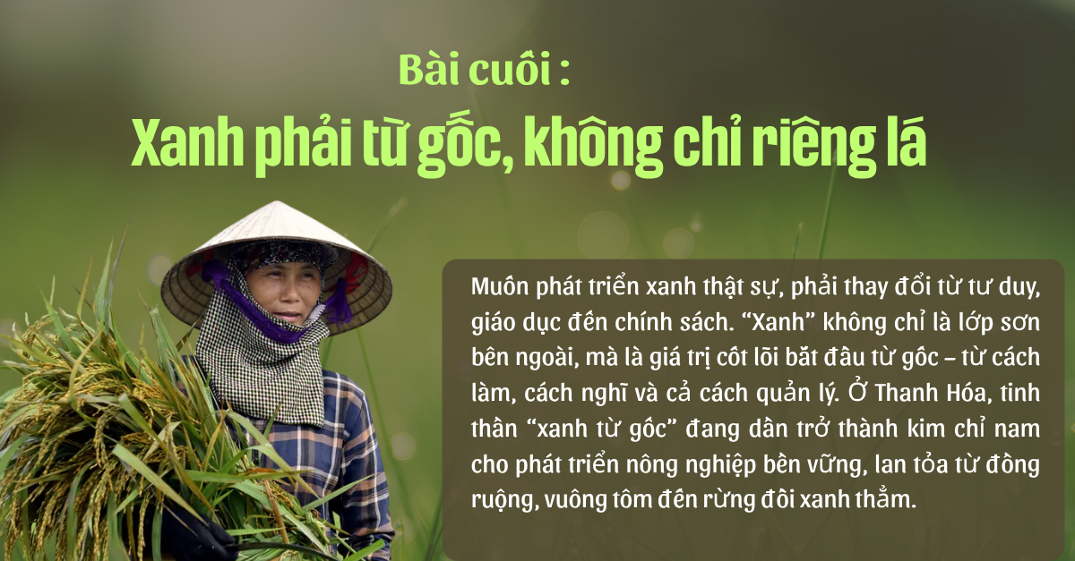 xanh-tu-nhung-dieu-gian-di-11-1761057731.png