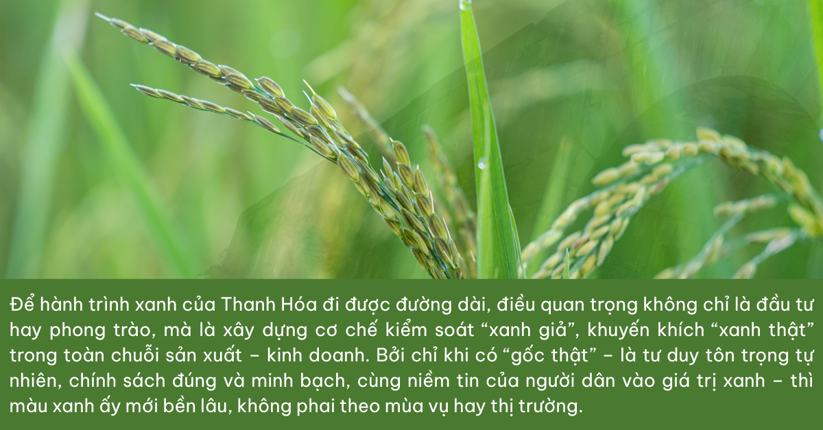 xanh-tu-nhung-dieu-gian-di-4-1761058896.png