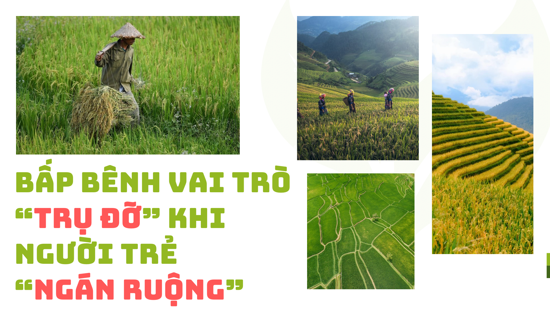 nong-nghiep-viet-1761174955.png