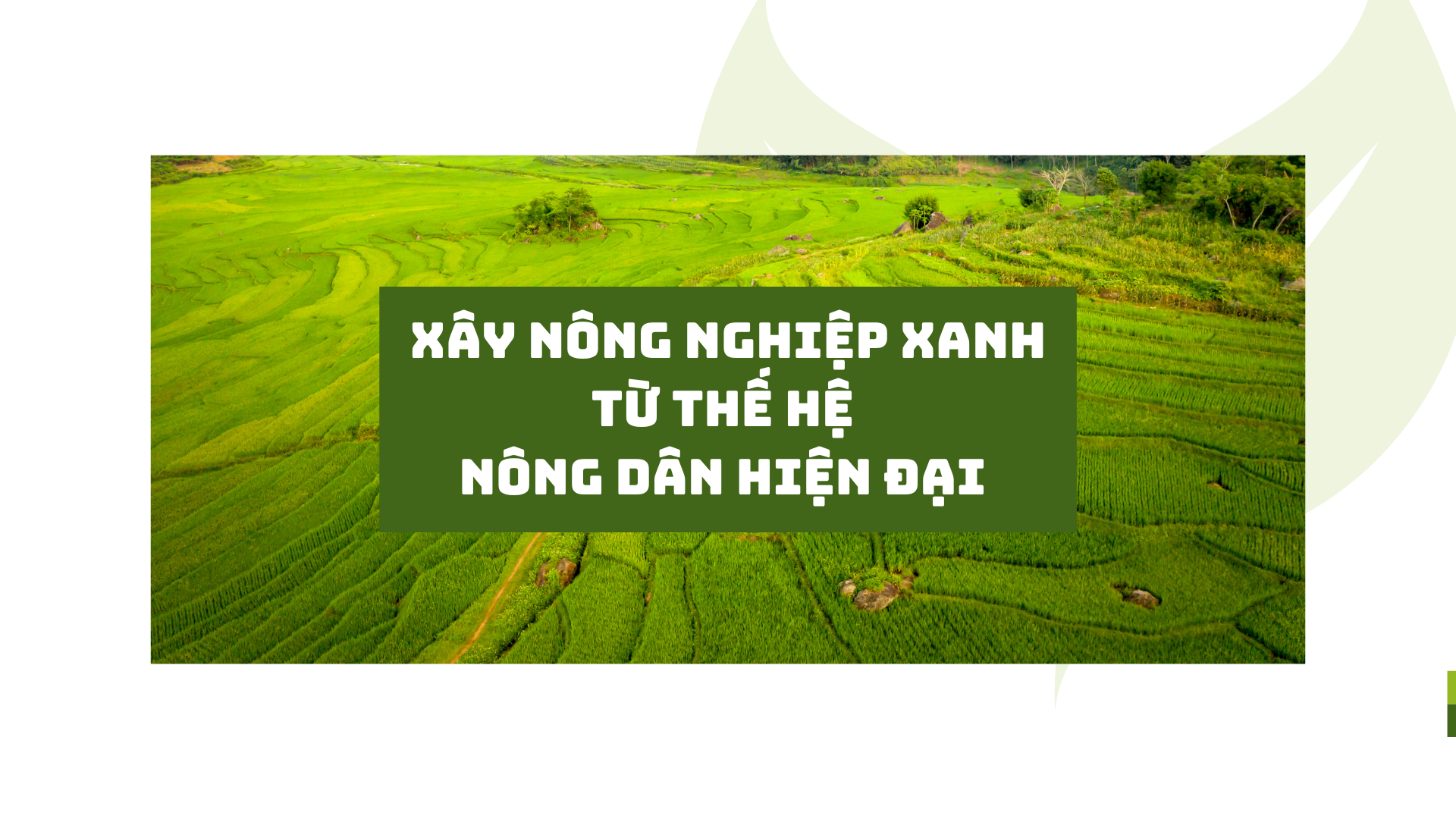 nong-nghiep-vietzip-4-1761174312.png
