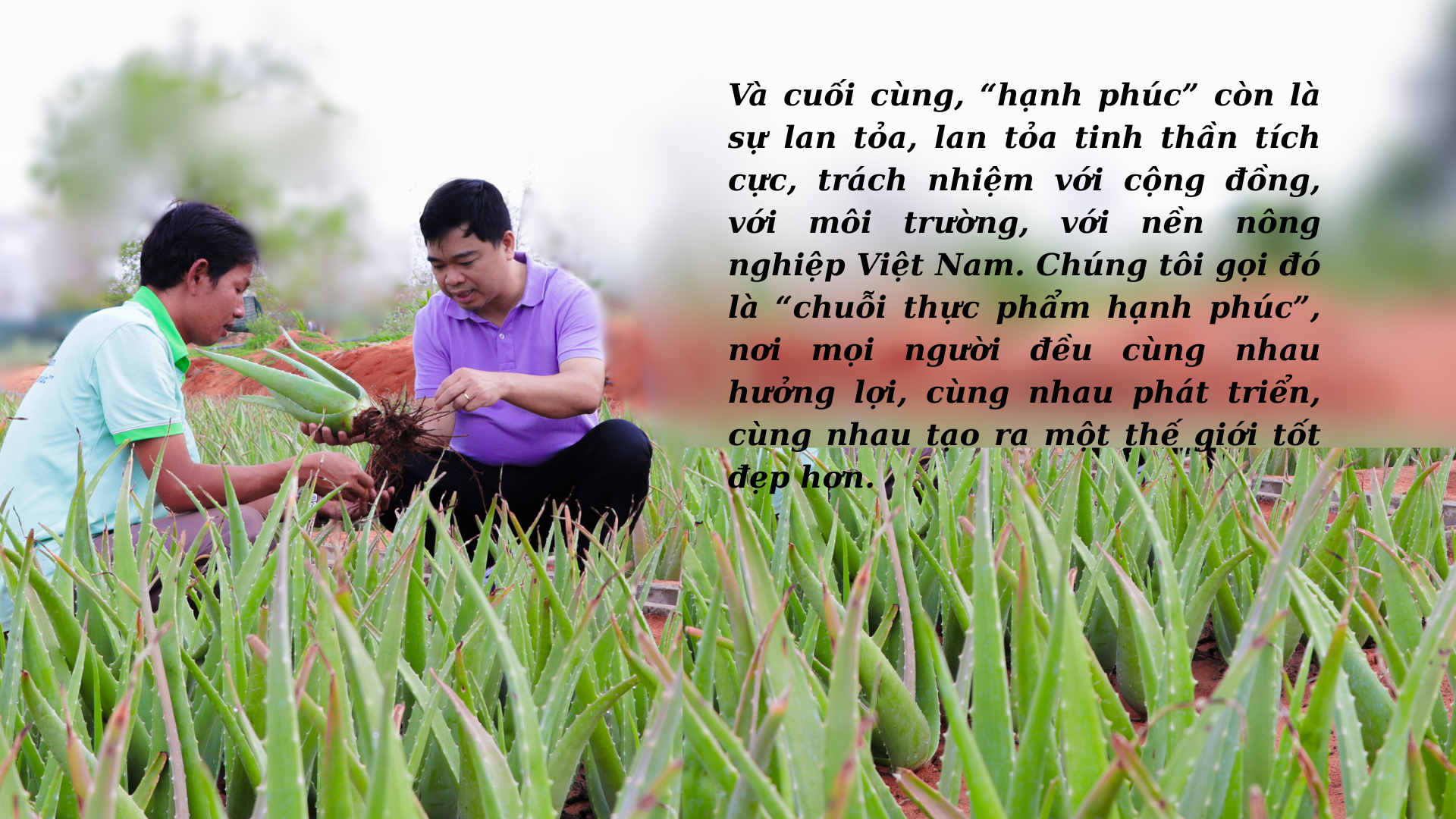 giac-mo-xanh-cua-gc-food-7-1762508943.png