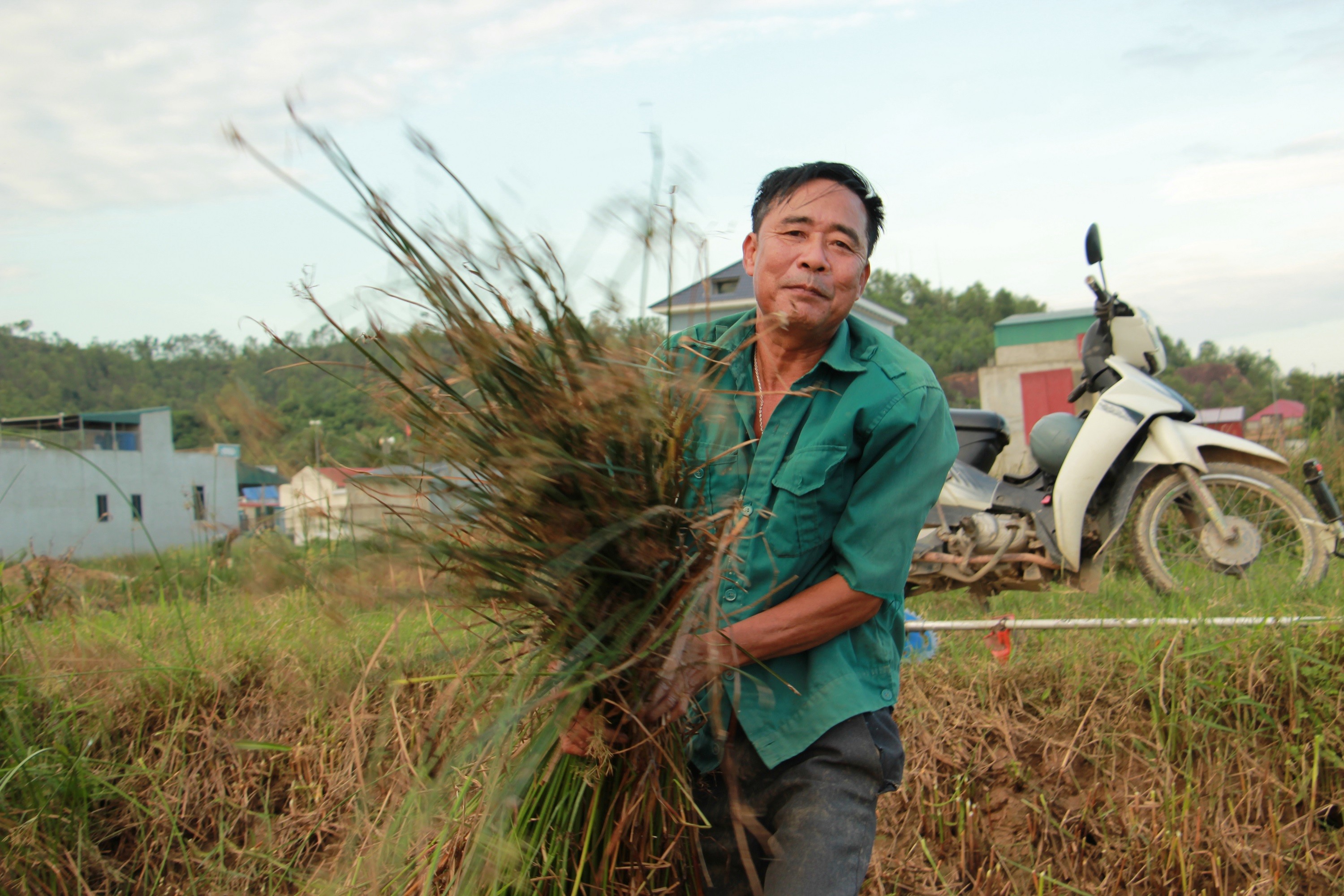 Làm cói tuy vất vả và tốn công hơn, nhưng giá trị kinh tế mang lại cao hơn nhiều so với trồng lúa.