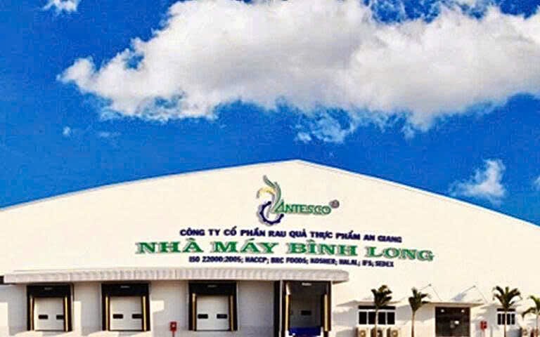 9 tháng đầu năm 2025, Antesco đạt lợi nhuận kỷ lục sau nhiều năm hoạt động.