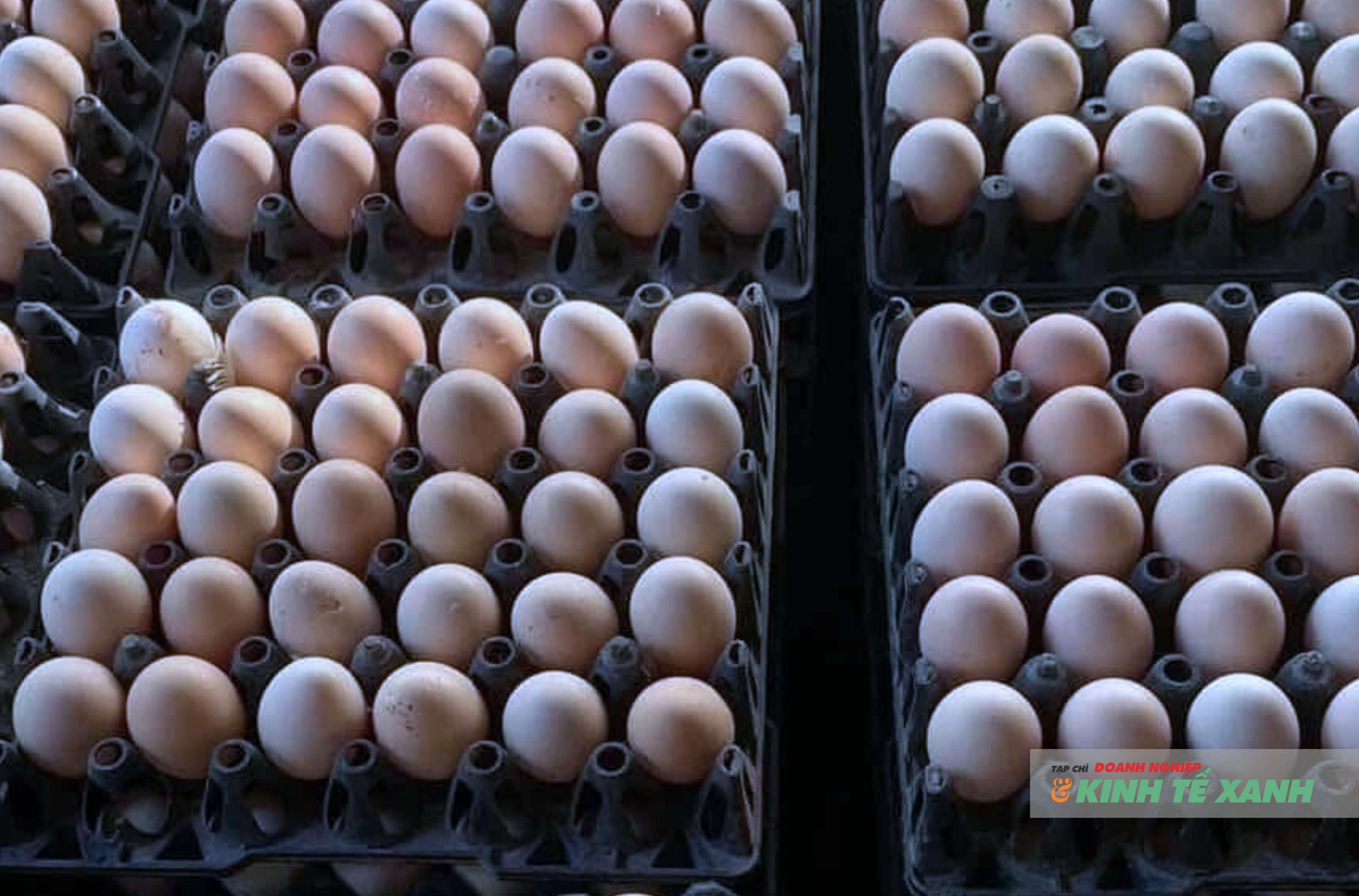 Các khay trứng gà, trứng vịt được bày bán tại chợ truyền thống ở Hà Nội với mức giá cao hơn 25-30% so với cùng kỳ năm ngoái.
