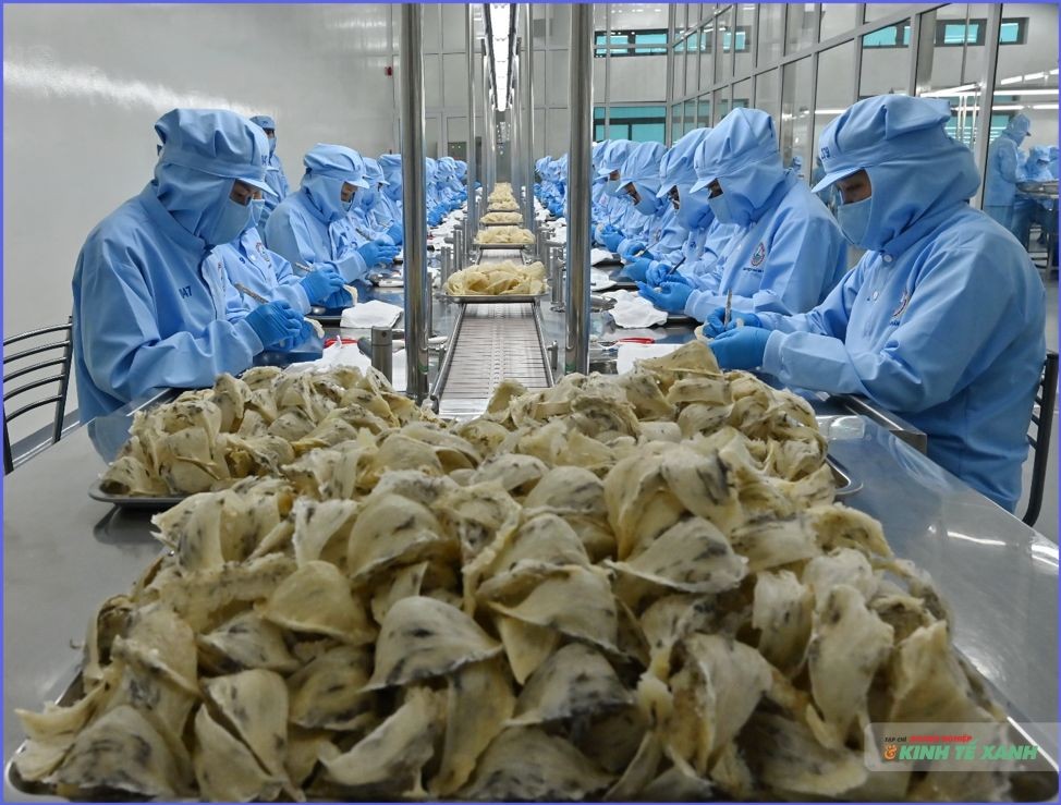 Bà Trịnh Thị Hồng Vân được vinh danh “Doanh nhân Khoa học và Công nghệ tiêu biểu” tại TECHFEST Việt Nam 2025