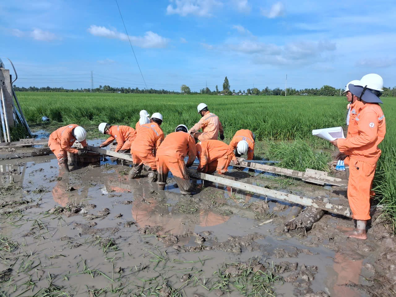 Hơn 700 công trình đóng điện, EVNSPC vượt chỉ tiêu 2025: Bí quyết từ tư duy quản trị “đi trước một bước”