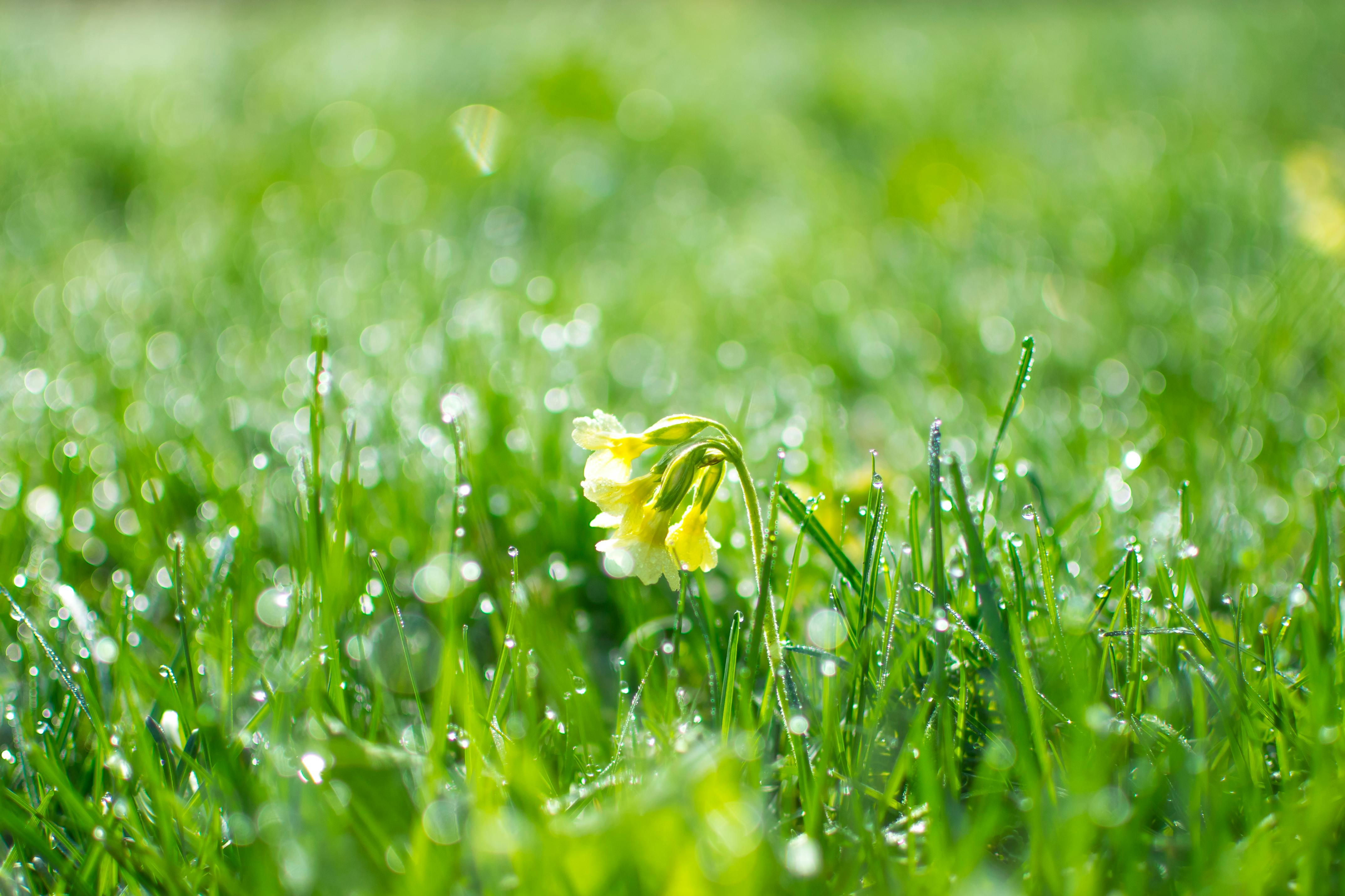 am-1771227820.png