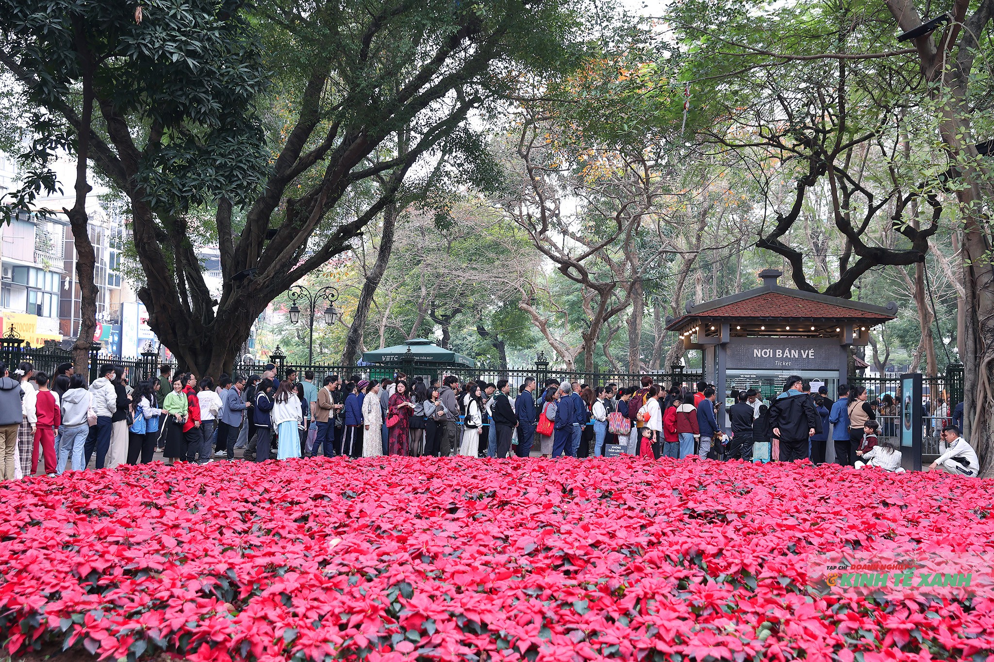 Dòng người xếp hàng dài mua vé vào tham quan Văn Miếu - Quốc Tử Giám
