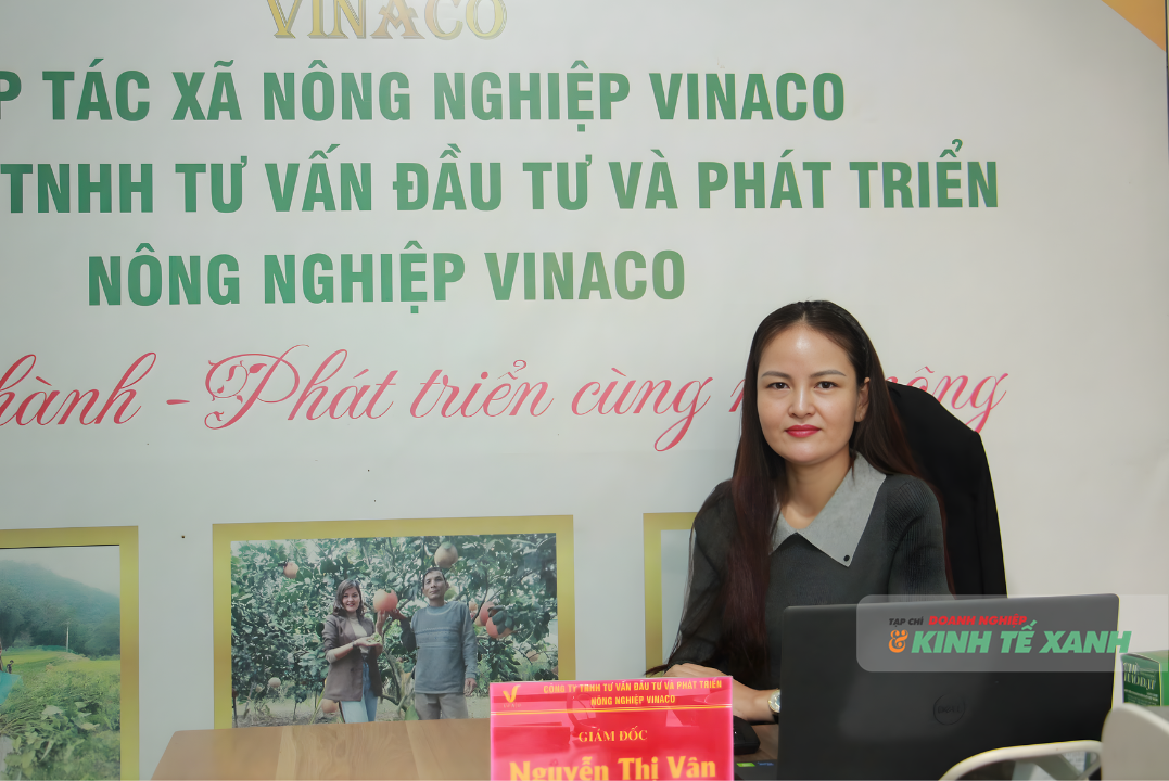 nguyen-thi-van-1-1772598562.png